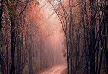 女单世界亚军被淘汰！0：3不敌国乒王艺迪，仁川冠军赛遭遇一轮游.