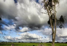 欧博：还差三球，莱万：达成巴萨百球里程碑是我的目标和梦想.