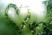 他们才是未来！18岁王钰栋首秀后完成处子球，爆发一周证明自己.