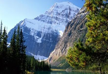 欧博：樊振东、王曼昱、徐梦桃等，拟获国家级表彰3-31 06：19.